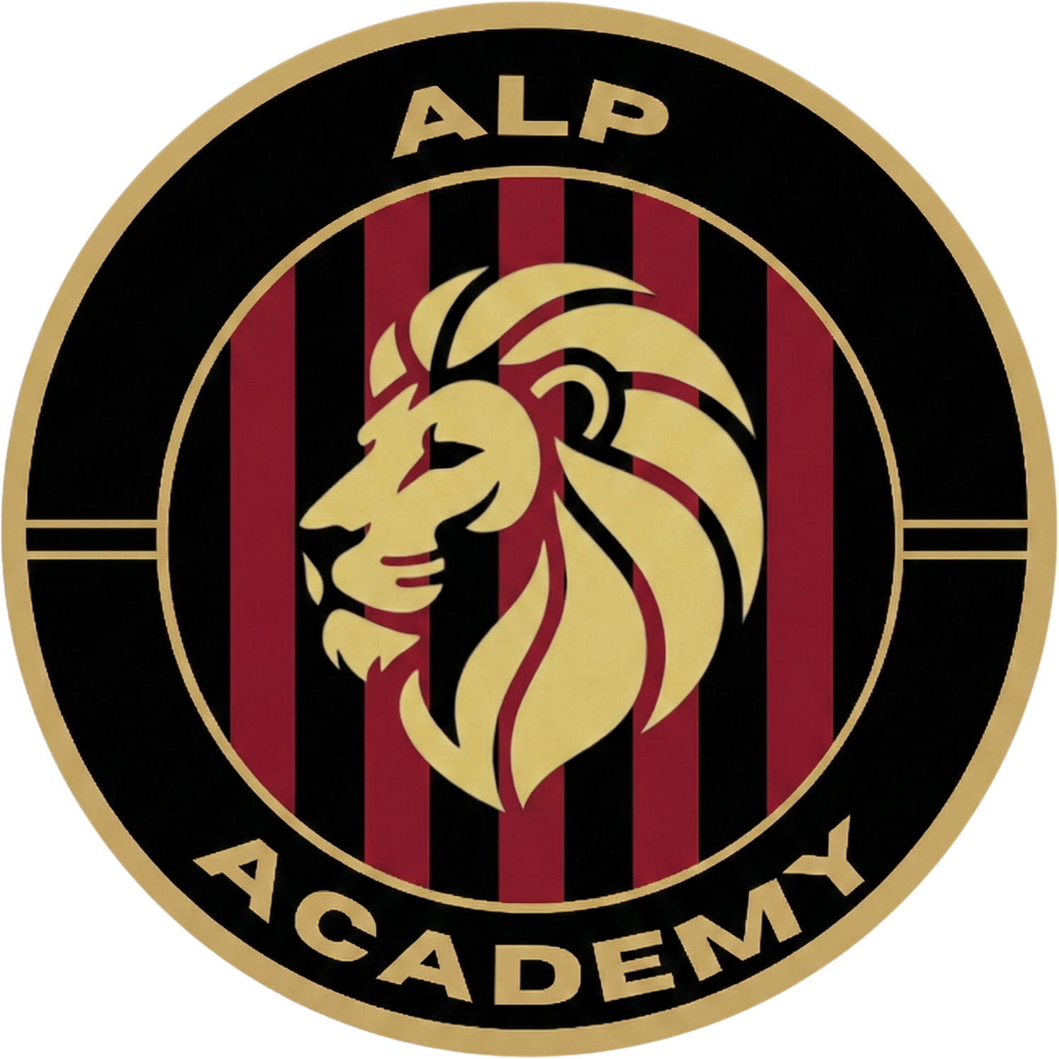 ALP Academy