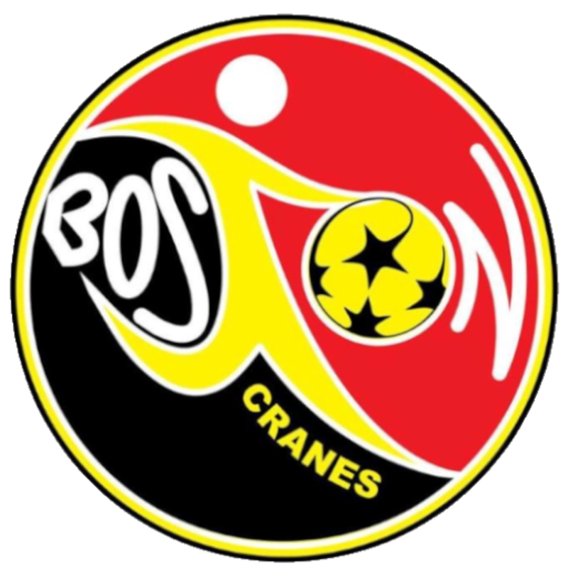 Boston Cranes