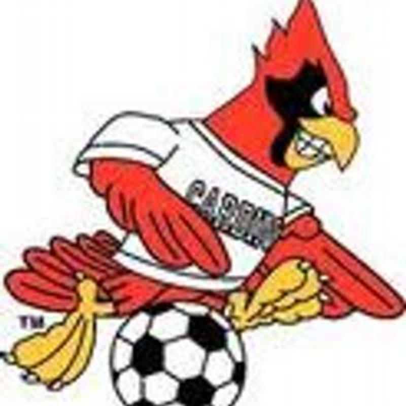 Cardinals (Minnesota)
