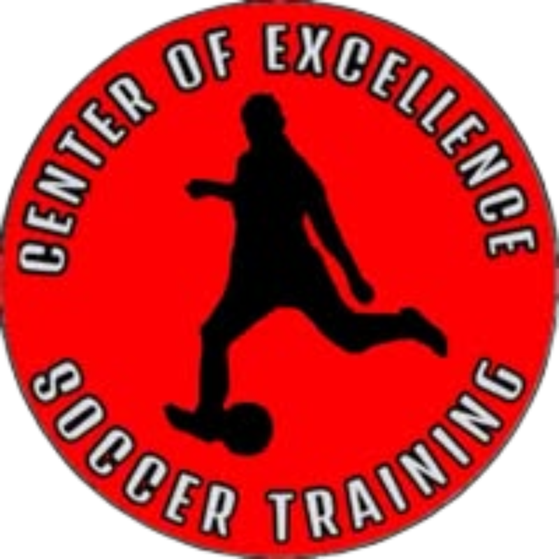 Center of Excellence