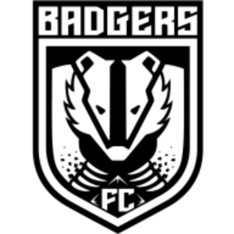 Detroit Badgers FC