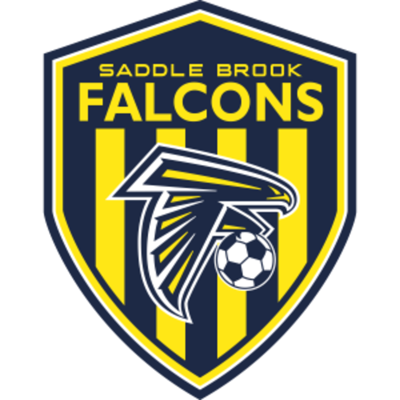 Falcons SC