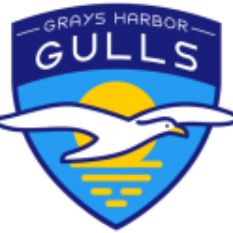 Grays Harbor Gulls