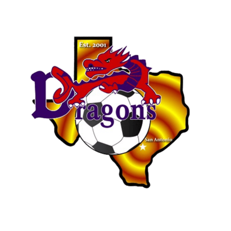 Lady Dragons