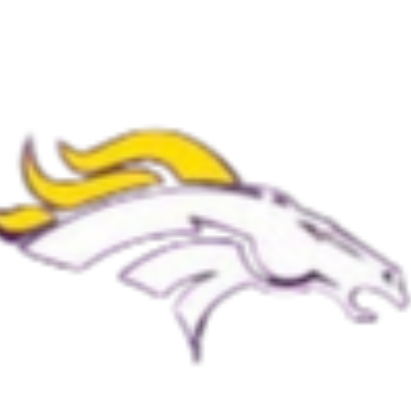 Plum Mustangs