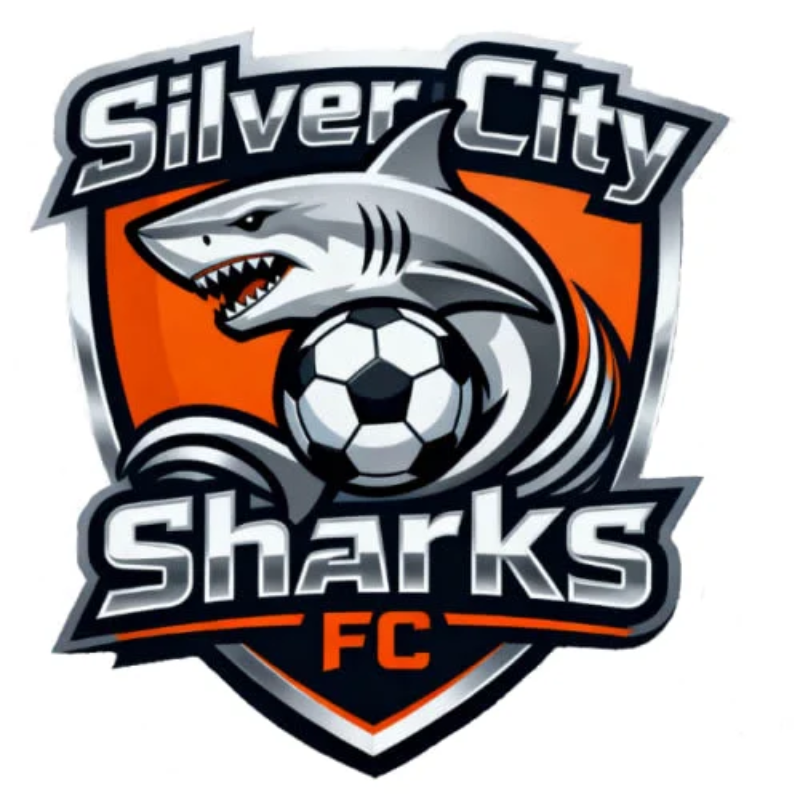 Silver City Sharks