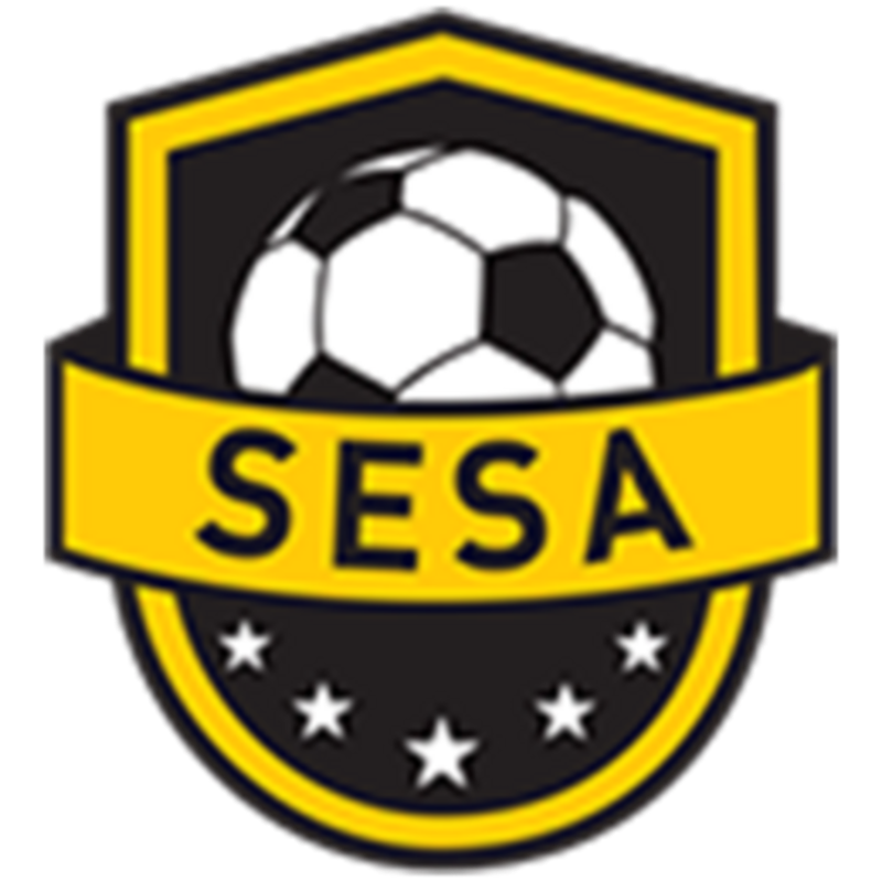 Southeast Soccer Academy