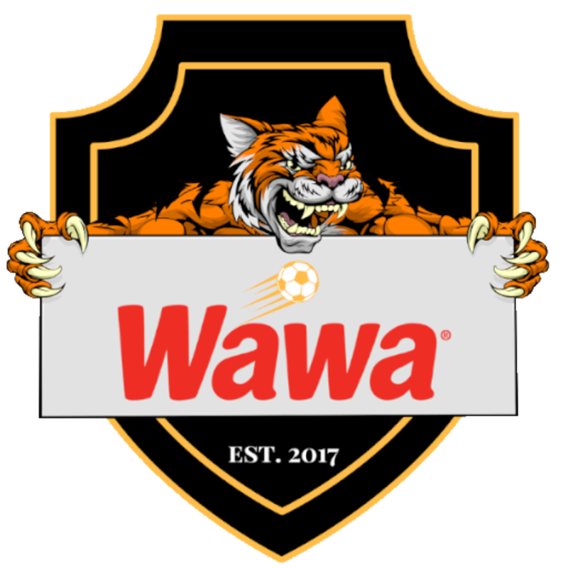 Wawa United FC