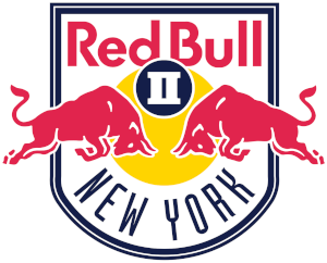 Red Bull New York crest